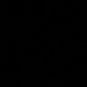 Meet your Posher, Sammy